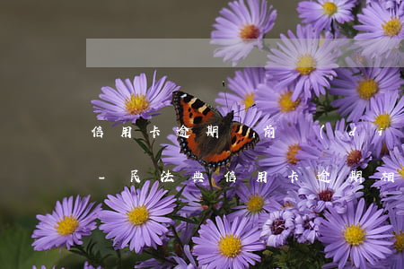 信用卡逾期訴前調(diào)解短信通知-民法典信用卡逾期相關(guān)說明