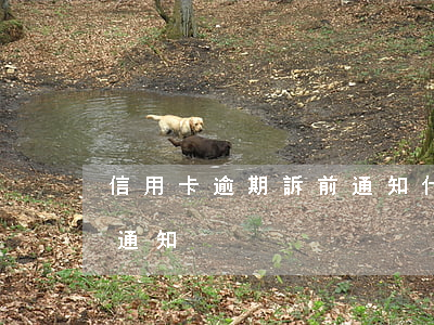 信用卡逾期訴前通知什么意思 逾期收到訴前通知