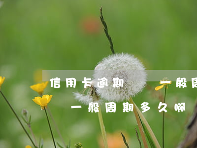 信用卡逾期訴訟一般周期多久(信用卡逾期訴訟一般周期多久啊)