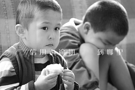 信用卡逾期訴訟到哪里