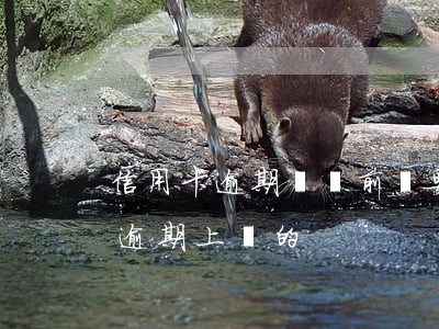 信用卡逾期訴訟前還要上門么(有沒有信用卡逾期上門的)