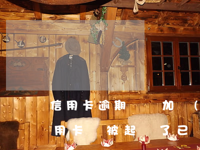 信用卡逾期訴訟加執(zhí)行費用(欠信用卡錢被起訴了,已經(jīng)在執(zhí)行中了,怎么辦)