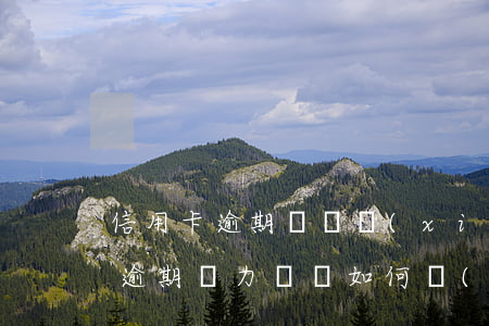 信用卡逾期訴訟協(xié)商還款(信用卡逾期無力償還如何協(xié)商還款)