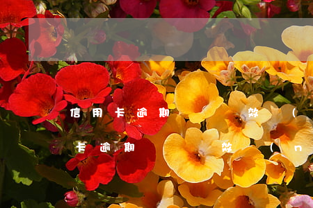 信用卡逾期訴訟時效內(nèi)還清(信用卡逾期訴訟時效內(nèi)還清)