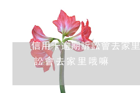 信用卡逾期訴訟會去家里哦嘛(信用卡逾期訴訟會去家里哦嘛)