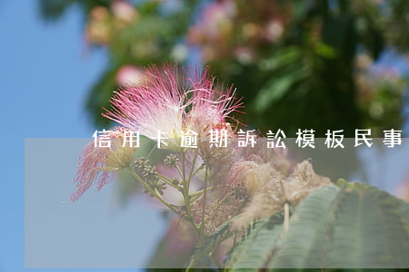信用卡逾期訴訟模板 民事訴訟法信用卡逾期