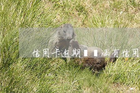 信用卡逾期訴訟涵(有信用卡逾期被起訴的嗎)