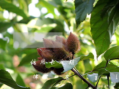 信用卡逾期訴訟費(fèi)需要多少錢(法律有沒有規(guī)定信用卡逾期收費(fèi)多少)