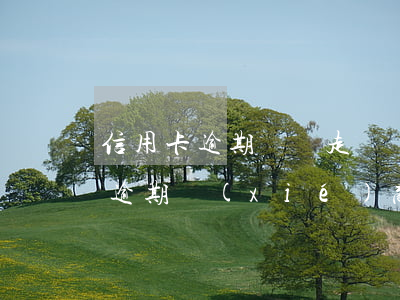 信用卡逾期訴訟走訪(國家信訪局投訴信用卡逾期協(xié)商還款問題)