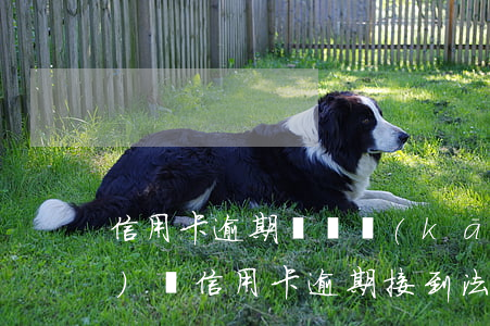 信用卡逾期訴訟開(kāi)庭時(shí)間(信用卡逾期接到法院開(kāi)庭通知)