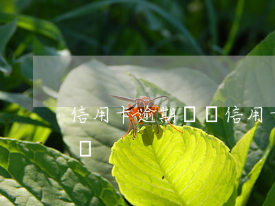 信用卡 逾期 詐騙（信用卡逾期屬于信用卡詐騙嗎）