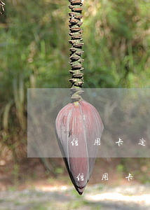 信用卡逾期詢問長(zhǎng)居住地址(信用卡逾期詢問長(zhǎng)居住地址)