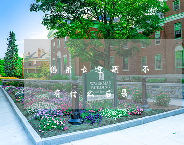 信用卡逾期該不該還款(信用卡貸款逾期不還有什么后果)