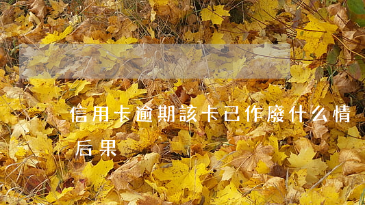 信用卡逾期該卡已作廢什么情況(信用卡 逾期 后果)