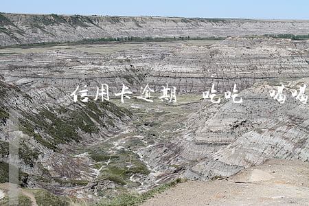 信用卡逾期該吃吃該喝喝