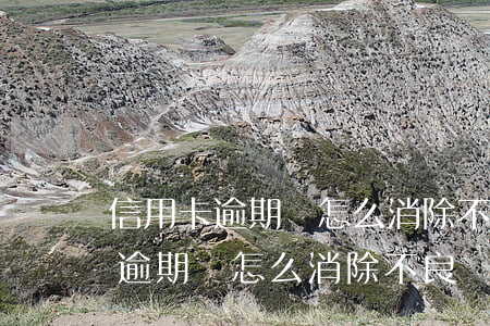 信用卡逾期該怎么消除不良記錄呢-信用卡逾期該怎么消除不良記錄呢知乎