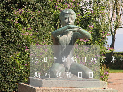 信用卡逾期該找兄弟借錢嗎(朋友說信用卡到期叫我借錢還)