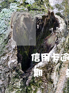 信用卡逾期詳細(xì)情況查詢(信用卡逾期記錄查詢)