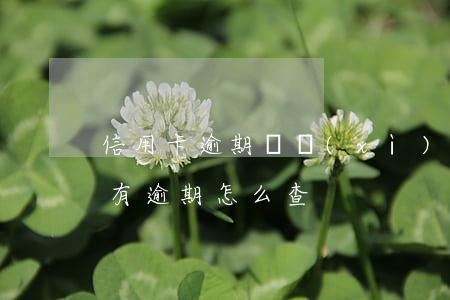 信用卡逾期詳細(xì)查詢(查信用卡有沒有逾期怎么查)