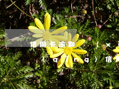 信用卡逾期詳細(xì)流程 有逾期如何申請(qǐng)信用卡