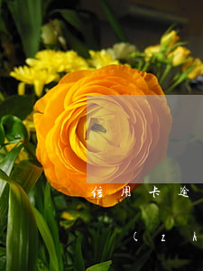 信用卡逾期認(rèn)定標(biāo)準(zhǔn)(信用卡逾期認(rèn)定標(biāo)準(zhǔn)是多少)