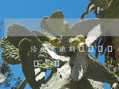 信用卡逾期誘導負債人借錢(借信用卡逾期了會怎樣)