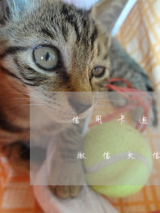 信用卡逾期說(shuō)凍結(jié)微信(欠信用卡會(huì)凍結(jié)微信嗎?)
