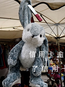 信用卡逾期說(shuō)卡怎么解除(逾期了信用卡)