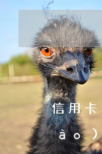 信用卡逾期說(shuō)去派出所報(bào)案了(欠信用卡銀行給公安局報(bào)案了)