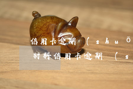 信用卡逾期說(shuō)向法院提交訴訟材料(信用卡逾期說(shuō)向法院提交訴訟材料)