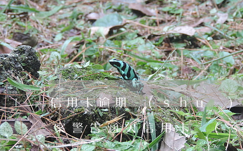 信用卡逾期說(shuō)寄報(bào)案警告涵(欠信用卡說(shuō)報(bào)案了)