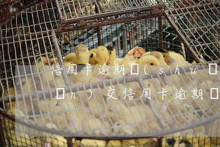 信用卡逾期說(shuō)打包轉(zhuǎn)交(信用卡逾期說(shuō)打包轉(zhuǎn)交)