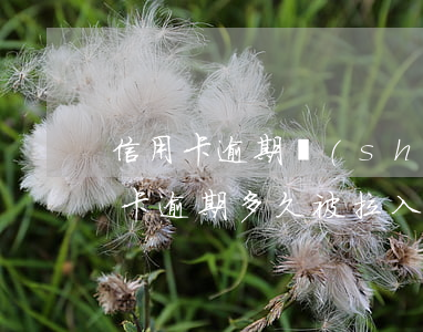 信用卡逾期說(shuō)拉入黑名單(信用卡逾期多久被拉入黑名單)