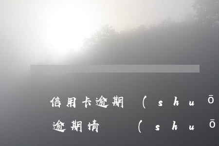 信用卡逾期說(shuō)明及承諾(信用卡逾期情況說(shuō)明)