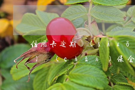 信用卡逾期說(shuō)是要財(cái)產(chǎn)保全(訴前財(cái)產(chǎn)保全會(huì)凍結(jié)信用卡嗎)
