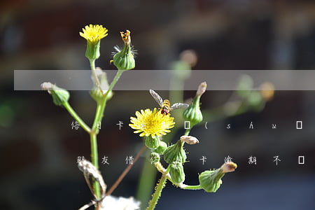 信用卡逾期說(shuō)朋友借走可以嗎(朋友借信用卡逾期不還可以起訴嗎)