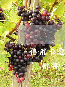 信用卡逾期說(shuō)申請(qǐng)排期(怎么查信用卡有沒(méi)有逾期)
