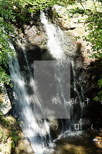 信用卡逾期說(shuō)的網(wǎng)絡(luò)起訴(網(wǎng)絡(luò)上信用卡逾期協(xié)商是真的嗎)