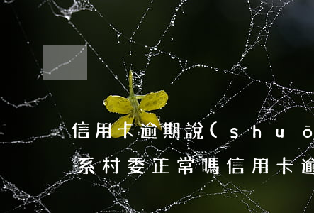 信用卡逾期說(shuō)聯(lián)系村委正常嗎 信用卡逾期說(shuō)聯(lián)系村委正常嗎是真的嗎