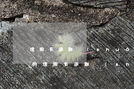信用卡逾期說(shuō)要上門是真的假的 信用卡逾期說(shuō)要上門是真的假的