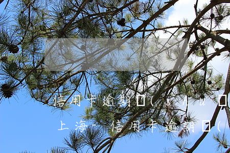 信用卡逾期說(shuō)要上門是真的嗎上海-信用卡逾期說(shuō)要上門是真的嗎上海
