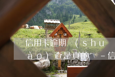 信用卡逾期說(shuō)要上門調(diào)查是真的嗎-信用卡逾期說(shuō)要上門調(diào)查是真的嗎?