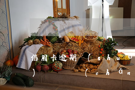 信用卡逾期說(shuō)要凍結(jié)帳戶資產(chǎn) 信用卡逾期說(shuō)要凍結(jié)帳戶資產(chǎn)