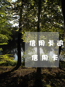 信用卡逾期說(shuō)要去村委(欠銀行信用卡 銀行可以告訴村委會(huì)嗎)
