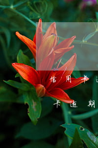 信用卡逾期說(shuō)要媒體公告(信用卡逾期會(huì)以什么方式通知)