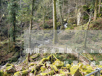 信用卡逾期說(shuō)要立案會(huì)坐牢(信用卡逾期說(shuō)要立案會(huì)坐牢)