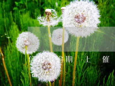 信用卡逾期說上門催繳(信用卡欠款上門催收合法嗎)