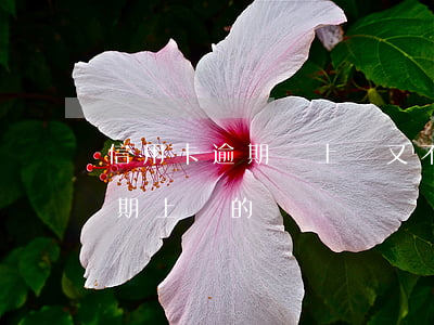信用卡逾期說上門又不來了(有沒有信用卡逾期上門的)