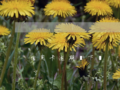 信用卡逾期說下發(fā)-我信用卡逾期了