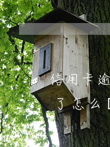信用卡逾期說不用還了(信用卡逾期說不用還了怎么辦)
